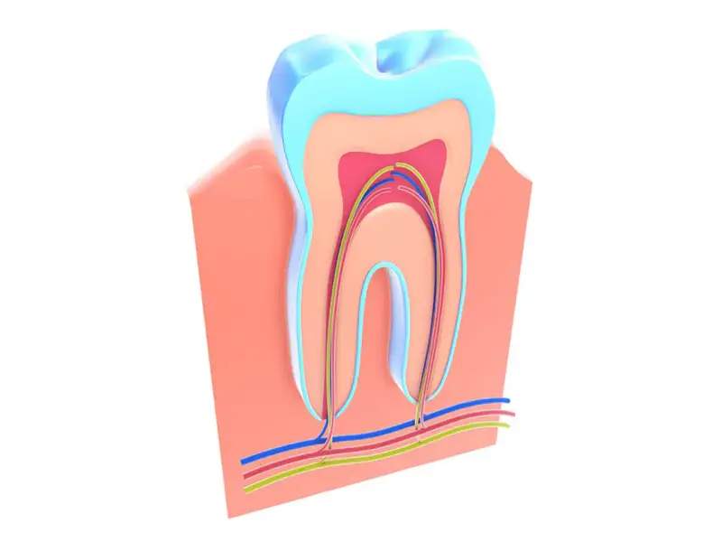 Calm operatory ready for a root canal at Missouri City Dentistry